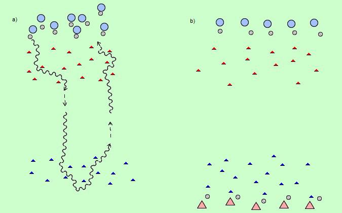 vedení - slalom mladší vedení - slalom mladší